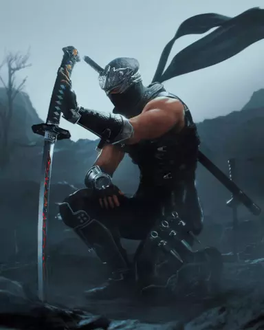 Ninja Gaiden 2 Black